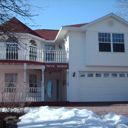 Dove House Bed & Breakfast Harbourside North Sydney Buitenkant foto