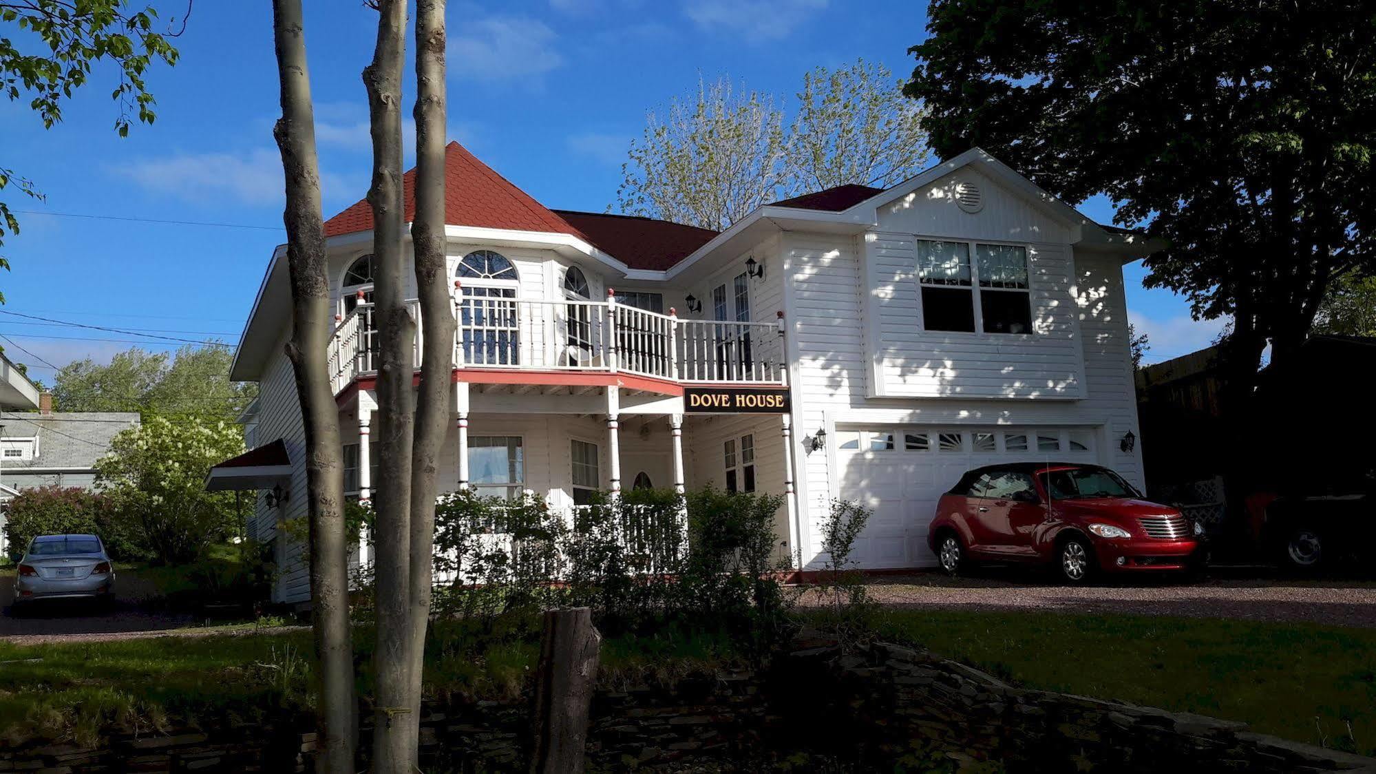 Dove House Bed & Breakfast Harbourside North Sydney Buitenkant foto